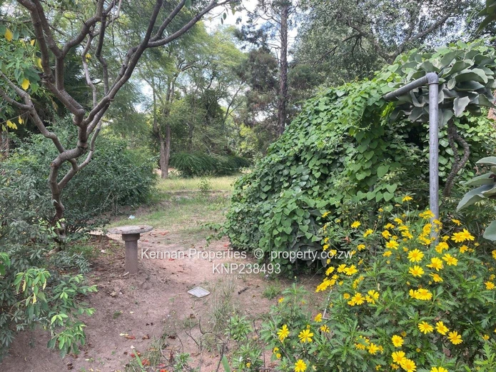 Hatfield 7600 s/mtrs property for sale (Sole Mandate)