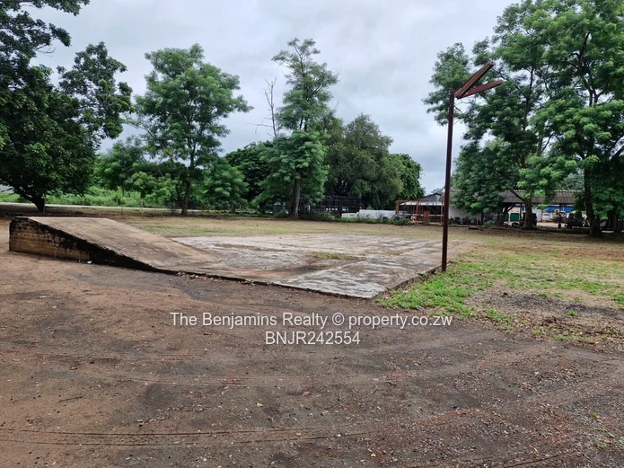 Strategic Space for Expanding Enterprises