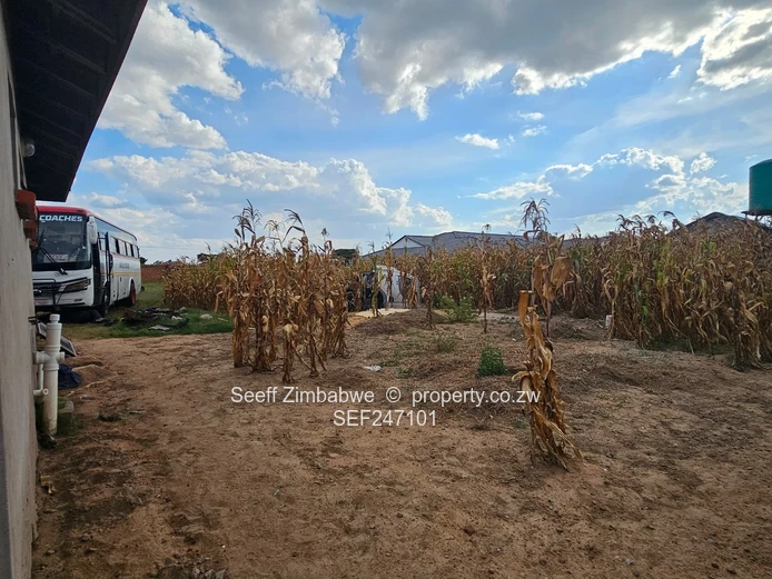 Zimre Park: 3-Bed Cottage Home on 2000m²