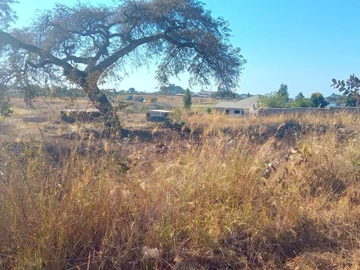 Stands & Residential Land