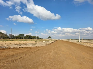 Stands & Residential Land