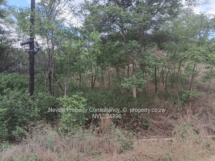 Glenlorne (Chishawasha)