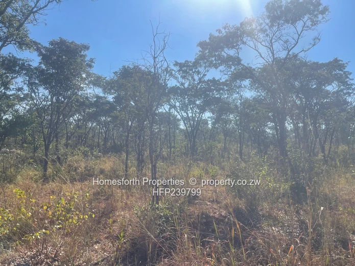 Exclusive Agricultural Land In Marondera For Sale