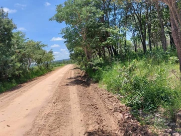 Farm & Agricultural Land