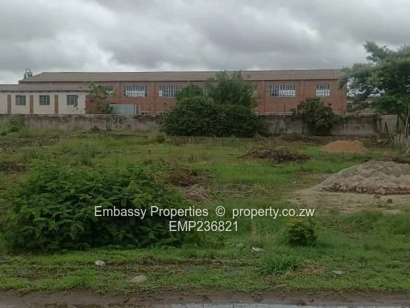 Taken by first viewer