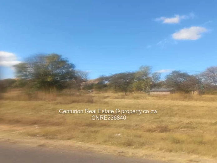 Selous Farm for Sale