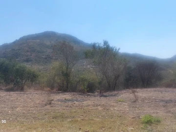 Farm & Agricultural Land