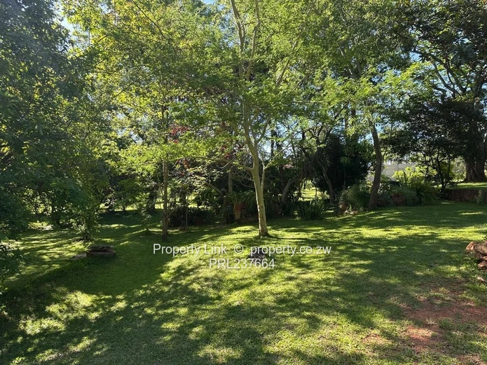 New Release! - Borrowdale Brooke