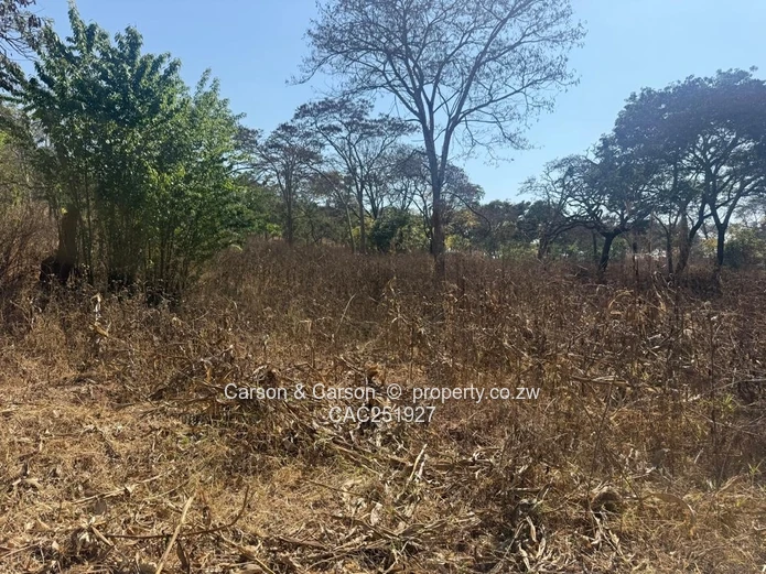 Residential stand for sale