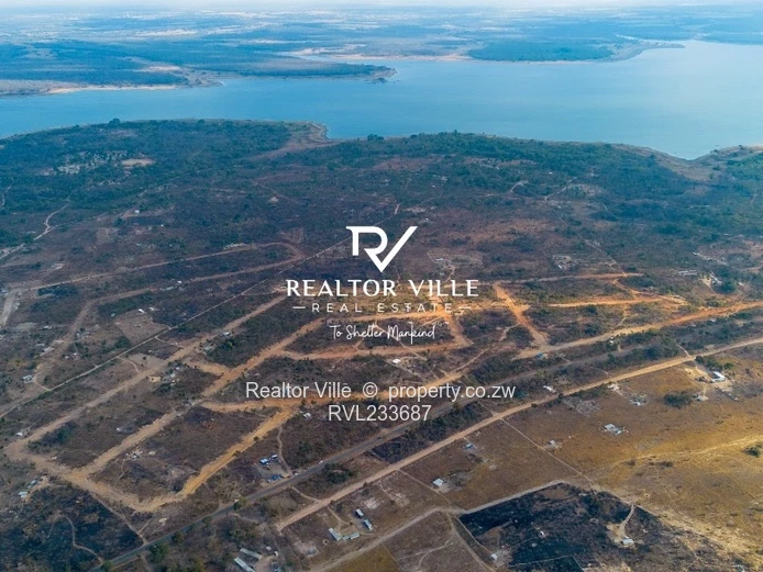 Lake City Stands For Sale  (Sole Mandate)