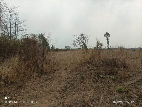 Farm & Agricultural Land