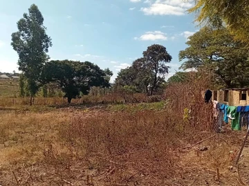 Farm & Agricultural Land