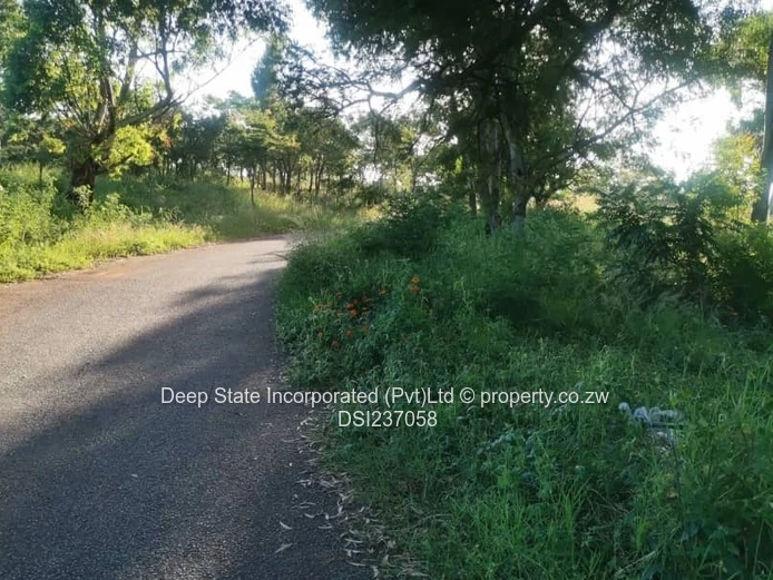 Chishawasha (Gletwin) stand for sale