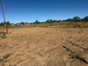 Farm & Agricultural Land