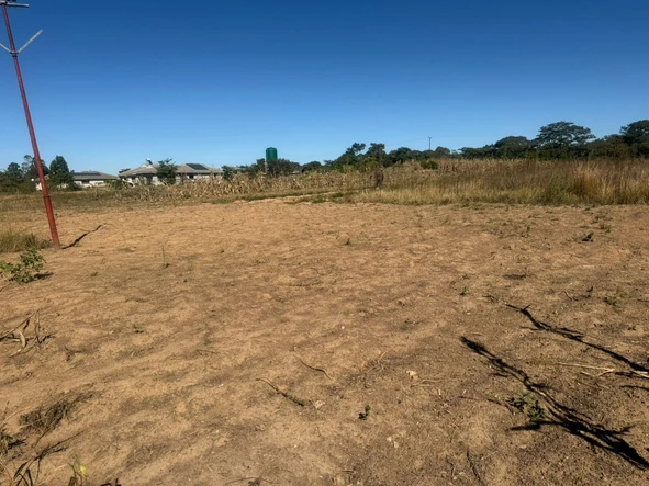 Farm & Agricultural Land