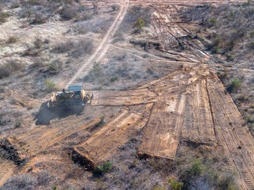 Stands & Residential Land