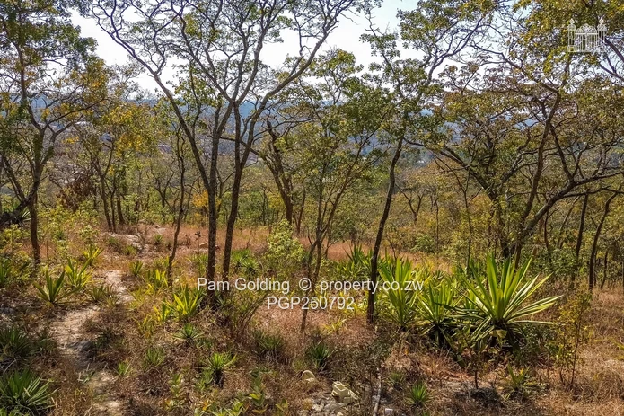 Prime 5,392sqm Stand with Spectacular Valley Views – Glen Lorne