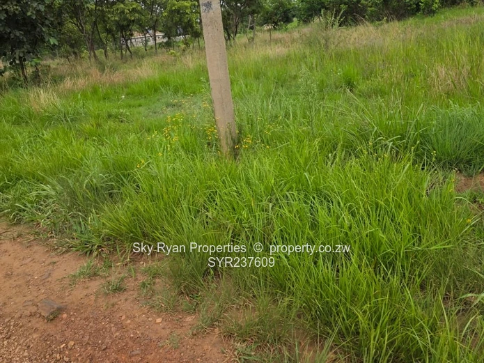 Mabelreign Stands For Sale