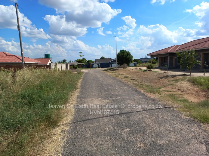 Neat stand (Sole Mandate)