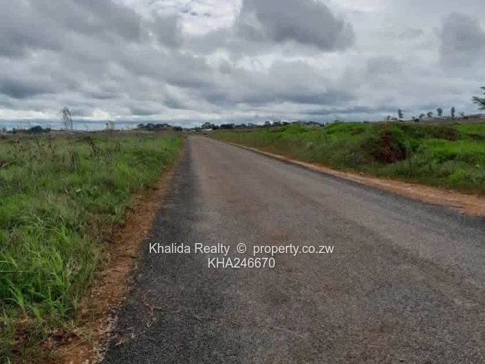 Borrowdale Pomona Nyeredzi stand for sale