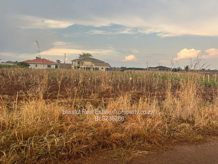 New Development in Mount Pleasant Heights
