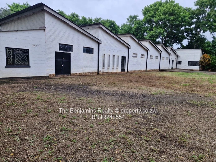 Strategic Space for Expanding Enterprises