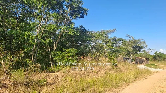 Northgate heights stand for sale