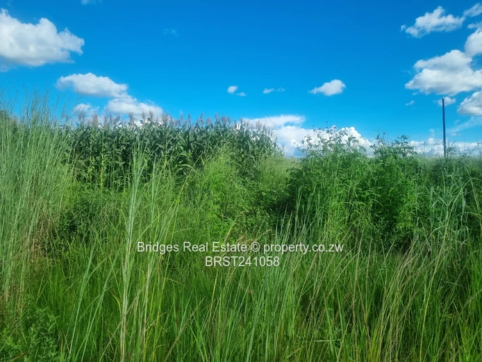 Agro Residential Parcel (Sole Mandate)