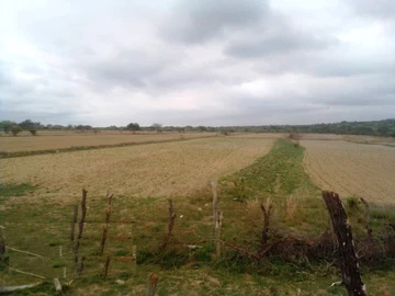 Farm & Agricultural Land