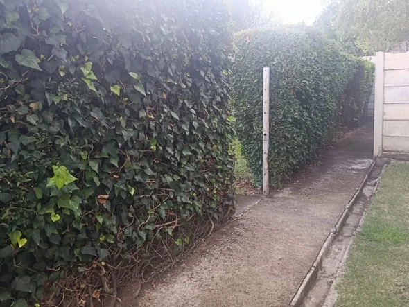 2 Bedroom Garden Flat