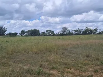 Farm & Agricultural Land