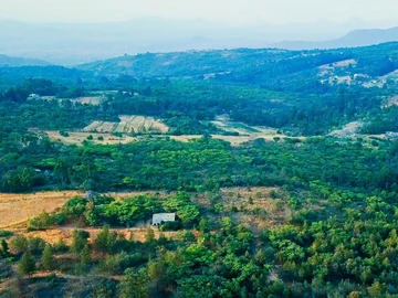 Land