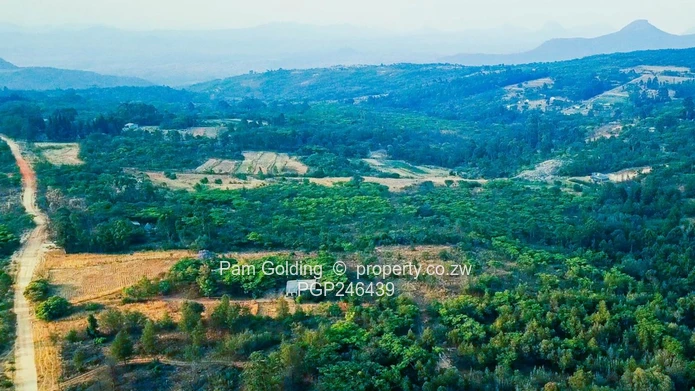 Stands In Nyanga At Nyamazi River For Sale