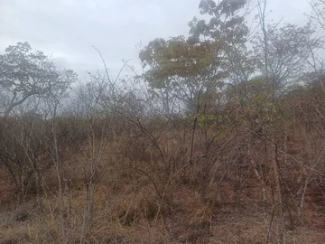 Farm & Agricultural Land