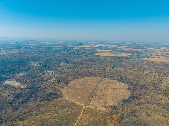 Farm & Agricultural Land