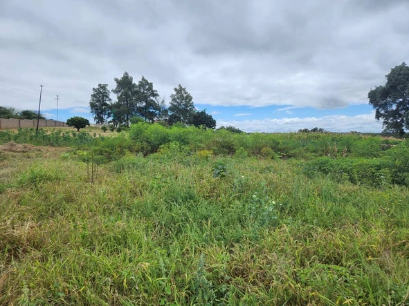 Stands & Residential Land