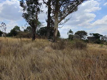 Commercial & Industrial Land