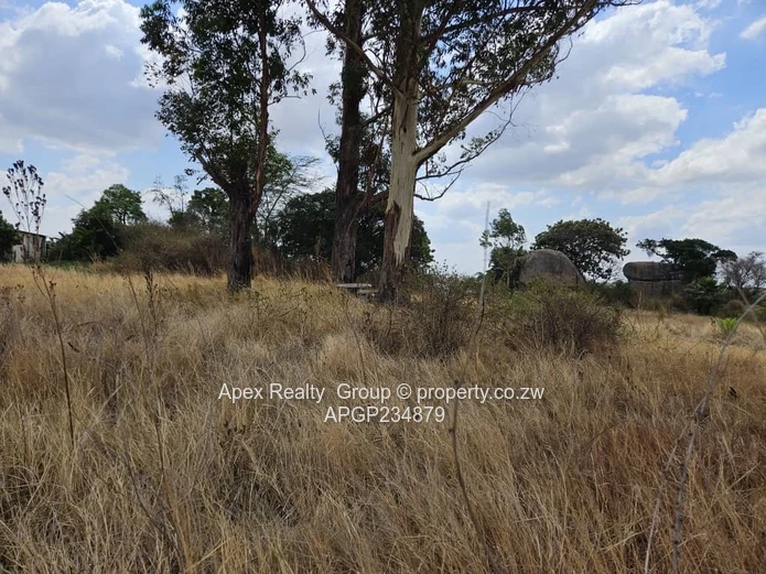 Mt Hampden Commercial Stands For Sale!