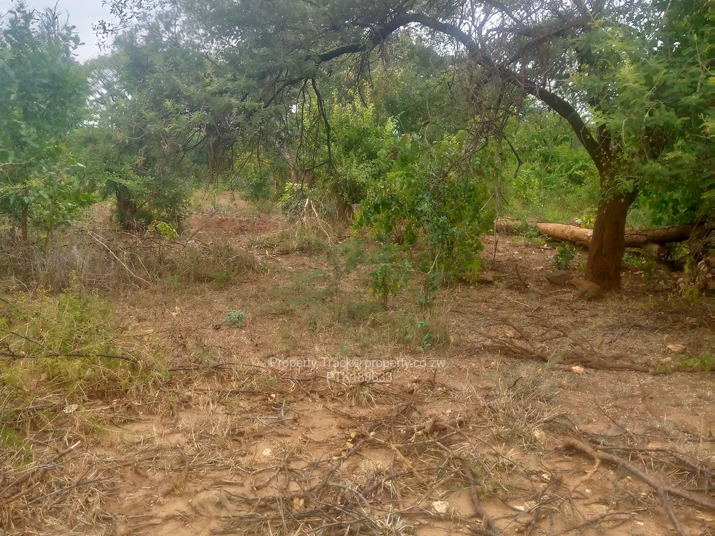 Farms & Agricultural Land for Sale in Kadoma PTK188633