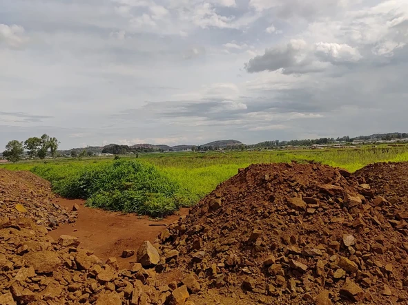 Stands & Residential Land