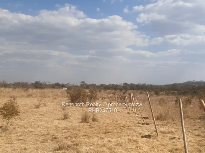 2.5ha Fenced Dry Grassland in Selous - Ideal Homestead