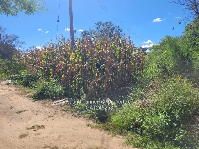 Stand For Sale  In Crowhill