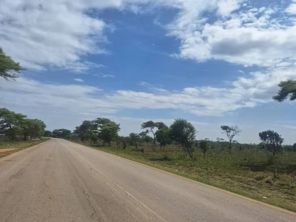 Farm & Agricultural Land