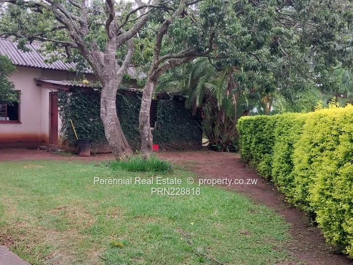 Spacious 3-Bedroom Home for Rent in Serene Murambi, Mutare