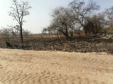 Farm & Agricultural Land