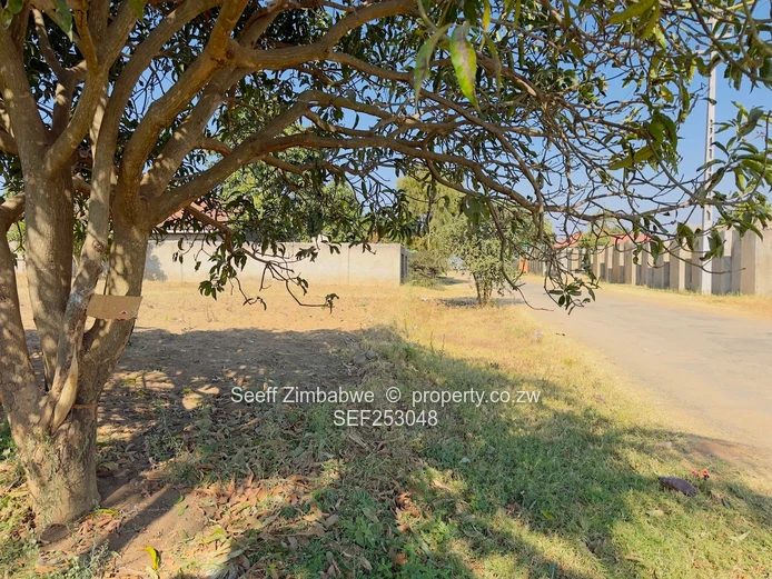 Generous Size Stand with 2-Bed Cottage, Zimre Park