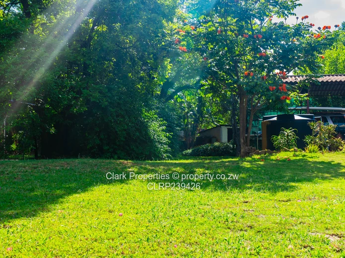 Location Loction Location (Sole Mandate)