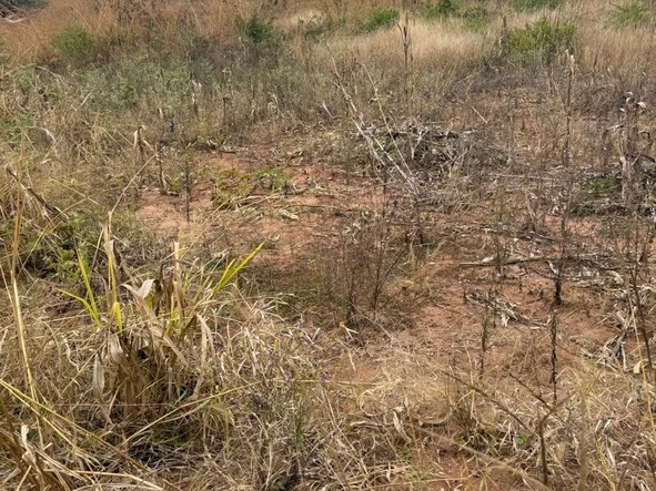 Commercial & Industrial Land