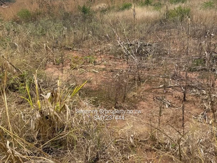 Commercial Property for Sale in Mahusekwa