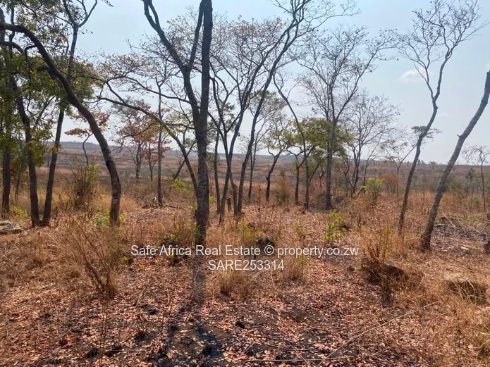43 Hectares Borrowdale Brooke- Crowhill Road Frontage Plot For Sale